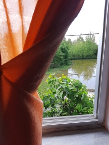 چشم انداز اتاق به طبیعت