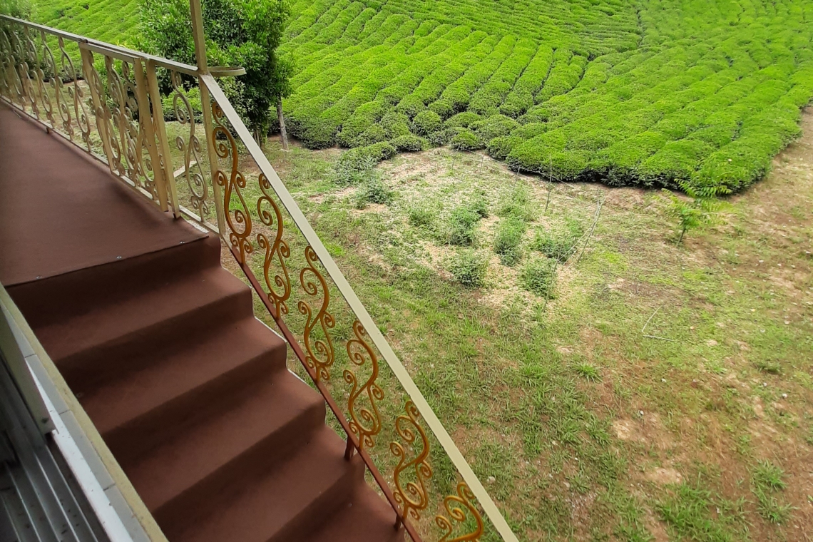 چشم انداز راهرو و تراس