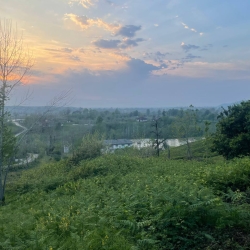 چشم انداز بالای کوه باغ چای