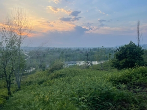 چشم انداز بالای کوه باغ چای