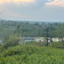چشم انداز بالای کوه باغ چای