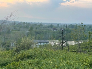 چشم انداز بالای کوه باغ چای